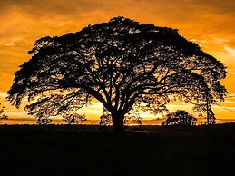 El Sano Banano Beachside Hotel