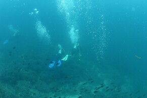 El Sano Banano Beachside Hotel