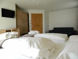 Alba Alpine Hotel