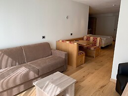 Alba Alpine Hotel