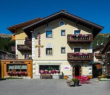 Alba Alpine Hotel