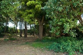 Azienda Agricola Francesca Stajano