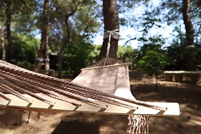 Azienda Agricola Francesca Stajano