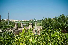 Azienda Agricola Francesca Stajano