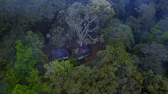 Nature Zone Jungle Resort