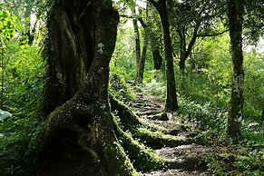 Nature Zone Jungle Resort