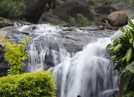 Nature Zone Jungle Resort