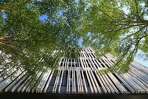 Blu Monkey Bed & Breakfast Phuket