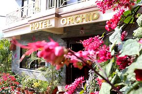 Hotel Orchid