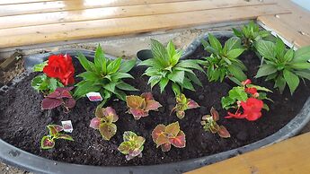 Knights Inn Woodstock