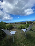 Altiplanico Rapa Nui