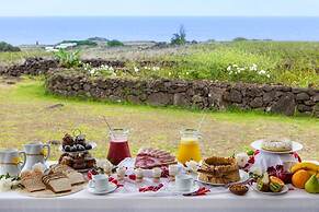 Altiplanico Rapa Nui