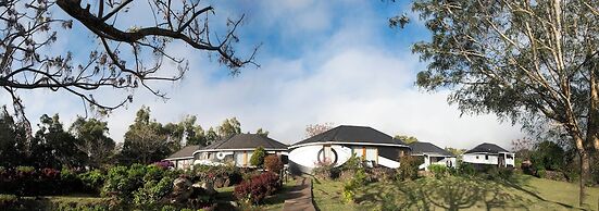 Altiplanico Rapa Nui