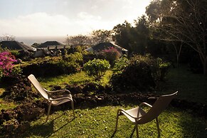 Altiplanico Rapa Nui