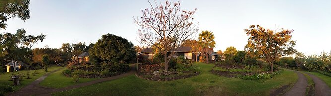 Altiplanico Rapa Nui