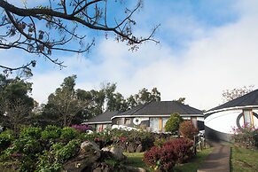 Altiplanico Rapa Nui