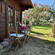 Agroturismo Can Marquet