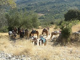 Kalypso Studios & Apartments