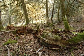 Kalypso Studios & Apartments