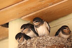 Kalypso Studios & Apartments