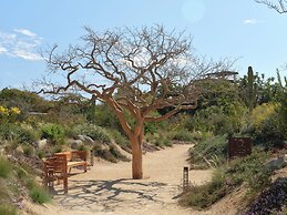 Kimpton Mas Olas Resort and Spa