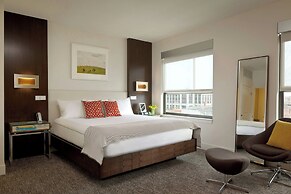 The Alexander