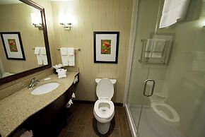 Hilton Garden Inn Dayton South-Austin Landing