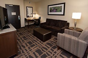 Hilton Garden Inn Dayton South-Austin Landing