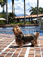 Tequendama Hotel Campestre Villavicencio