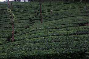 Wild Elephant Eco-Friendly Resort