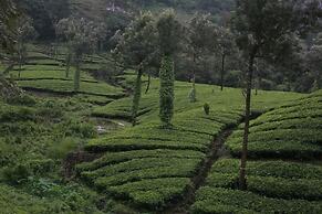 Wild Elephant Eco-Friendly Resort