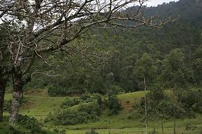 Wild Elephant Eco-Friendly Resort