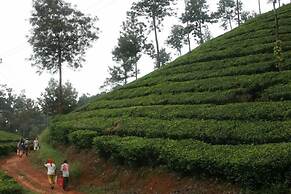 Wild Elephant Eco-Friendly Resort