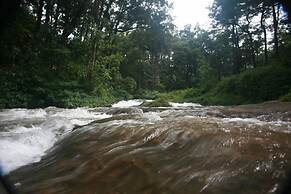 Wild Elephant Eco-Friendly Resort