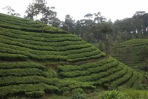 Wild Elephant Eco-Friendly Resort