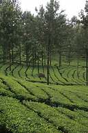 Wild Elephant Eco-Friendly Resort