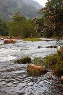 Wild Elephant Eco-Friendly Resort