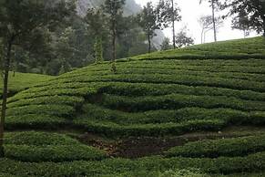 Wild Elephant Eco-Friendly Resort