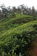 Wild Elephant Eco-Friendly Resort