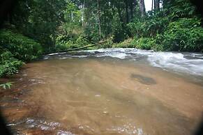 Wild Elephant Eco-Friendly Resort