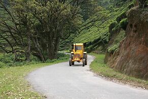 Wild Elephant Eco-Friendly Resort