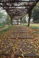 The Castle On Tamborine