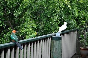 The Castle On Tamborine