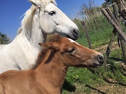 Hôtel Mas des Barres