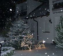 Gäste- und Boardinghaus Klara Birnbaum