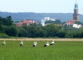 Gäste- und Boardinghaus Klara Birnbaum