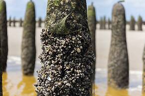 Dormio Resort Berck Sur Mer