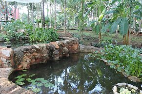 Real Mayab Hotel & Bungalows