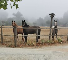 Madre De Água Hotel Rural De Charme