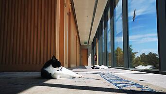 Madre De Água Hotel Rural De Charme